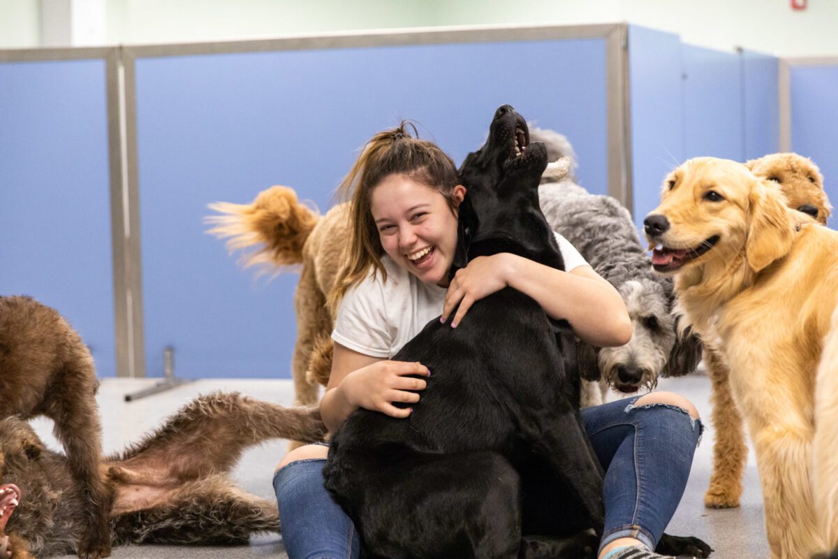 Puppy Daycare Near Me