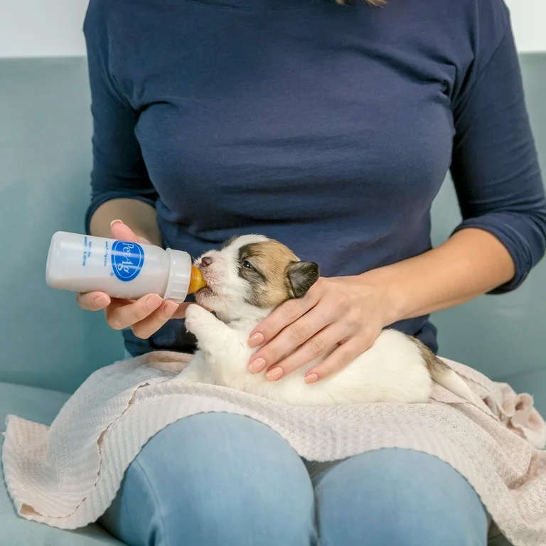 Puppy Milk Replacer