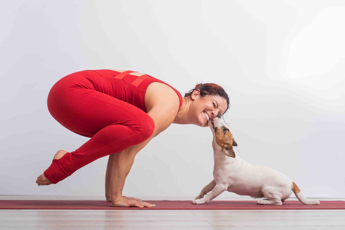 Puppy Yoga Chicago